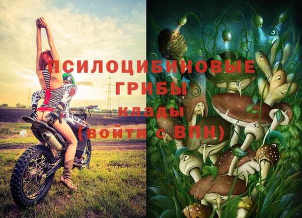 стафф Белокуриха