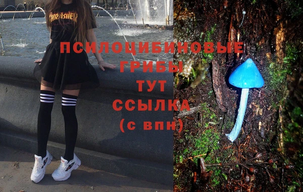 гидра Беломорск
