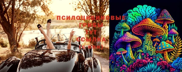 МДПВ Строитель