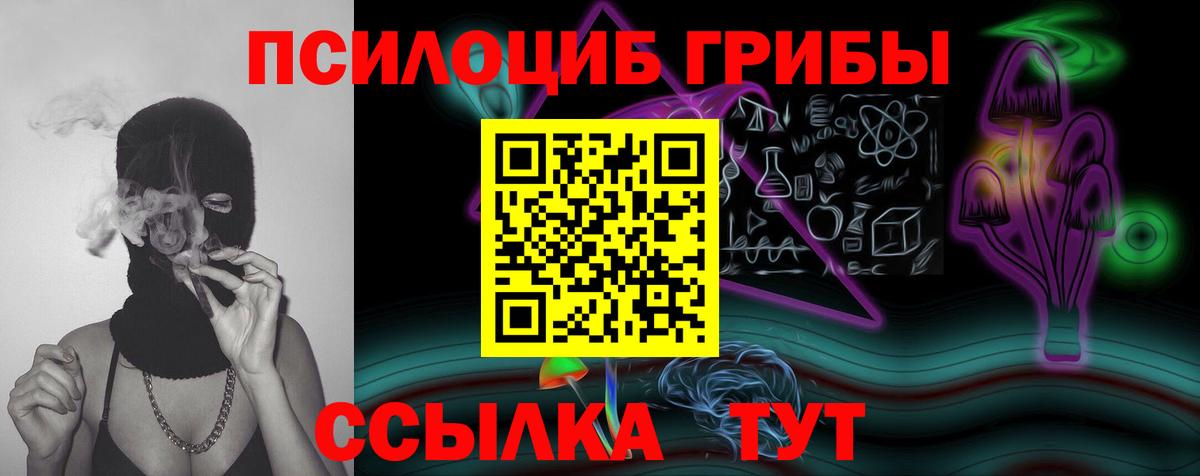 Кузнецк  Галлюциногенные грибы мухоморы  наркошоп  Вход с VPN  Галлюциногенные грибы мицелий 